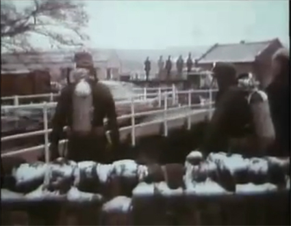 Motorsport und Tauchen